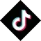 TikTok Logo