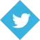 Twitter Logo